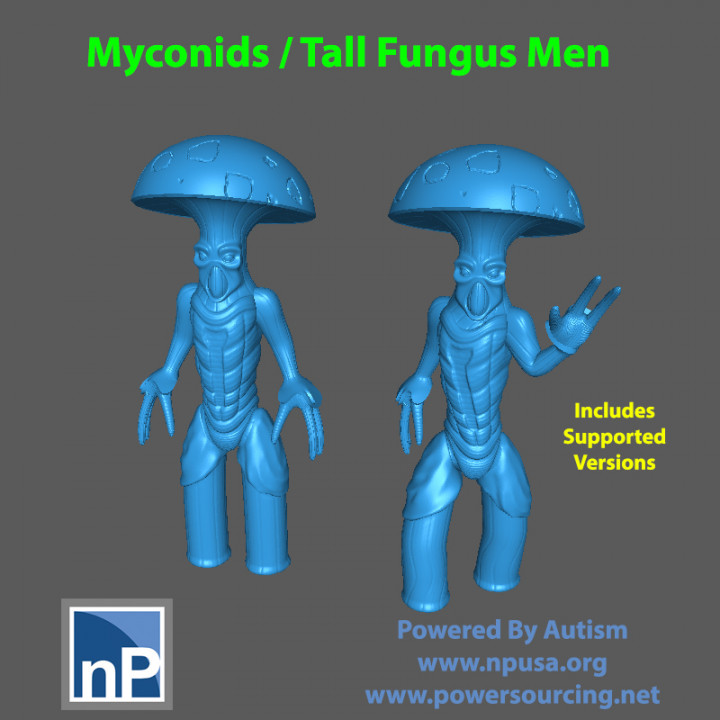 Fungus / Mushroom Men image