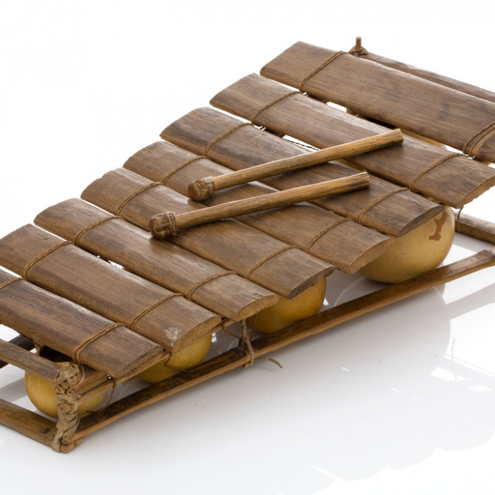 "Balafon", a musical instrument image