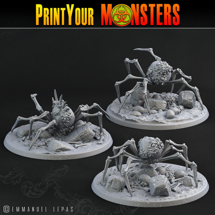 3 BONE SPIDERS image