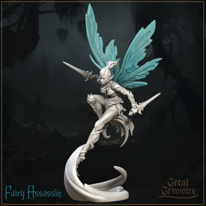 Fairy Assassin image