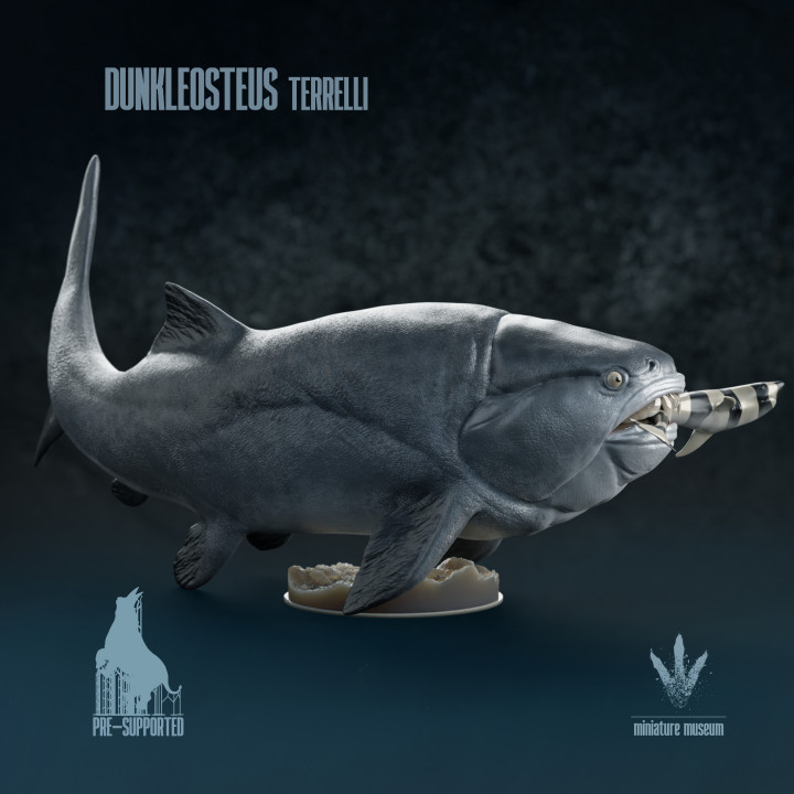 Dunkleosteus terrelli : Hunt image