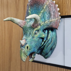 Picture of print of Triceratops Bust