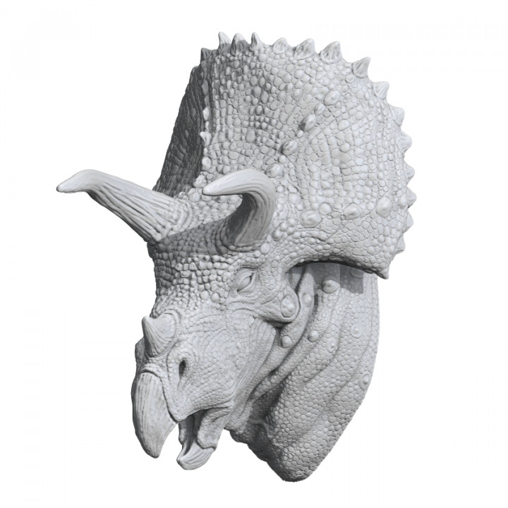 Triceratops Bust image