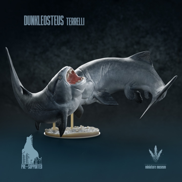 Dunkleosteus terrelli : Fighter Fish