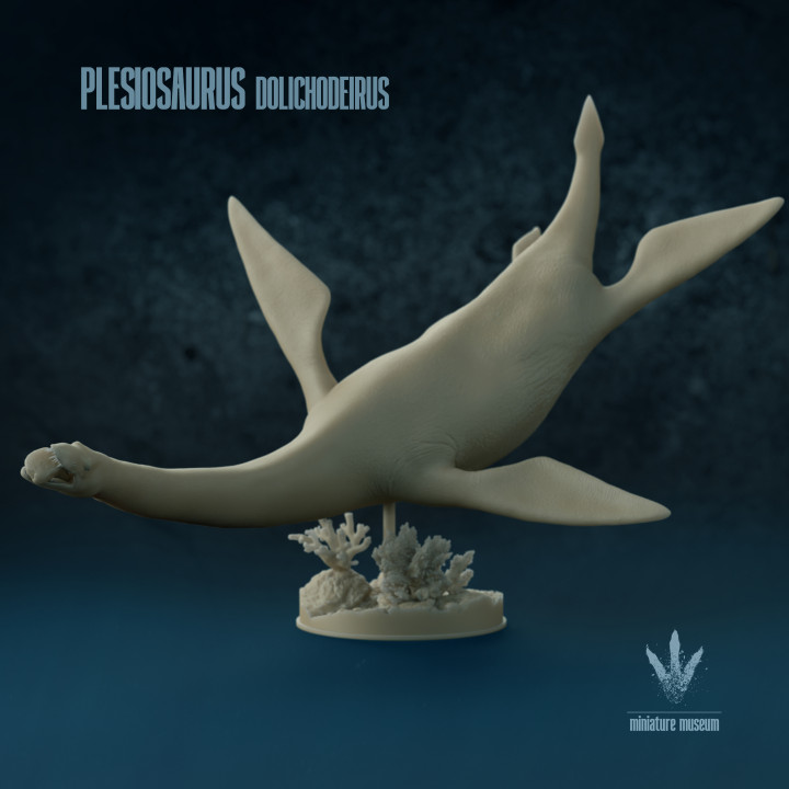 Plesiosaurus dolichodeirus : The marine long-neck