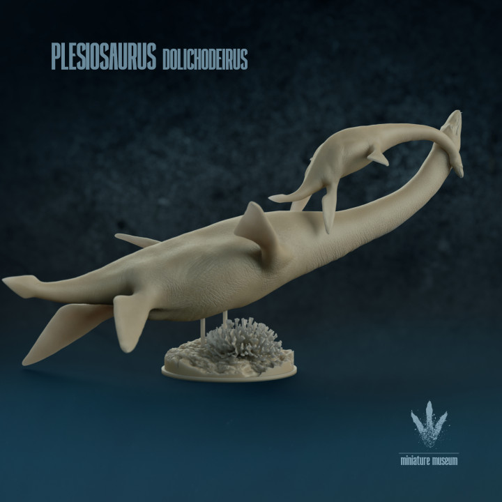 Plesiosaurus dolichodeirus : Next Generation image