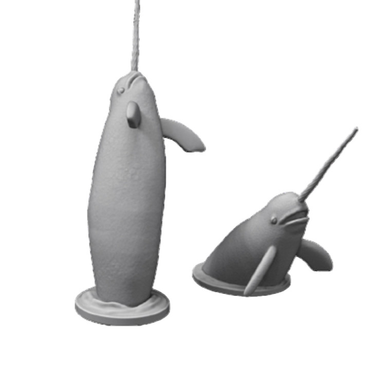 Pirates - NARWHALS - Presupported