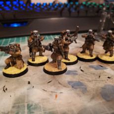 Picture of print of Desert Hawks Recruits