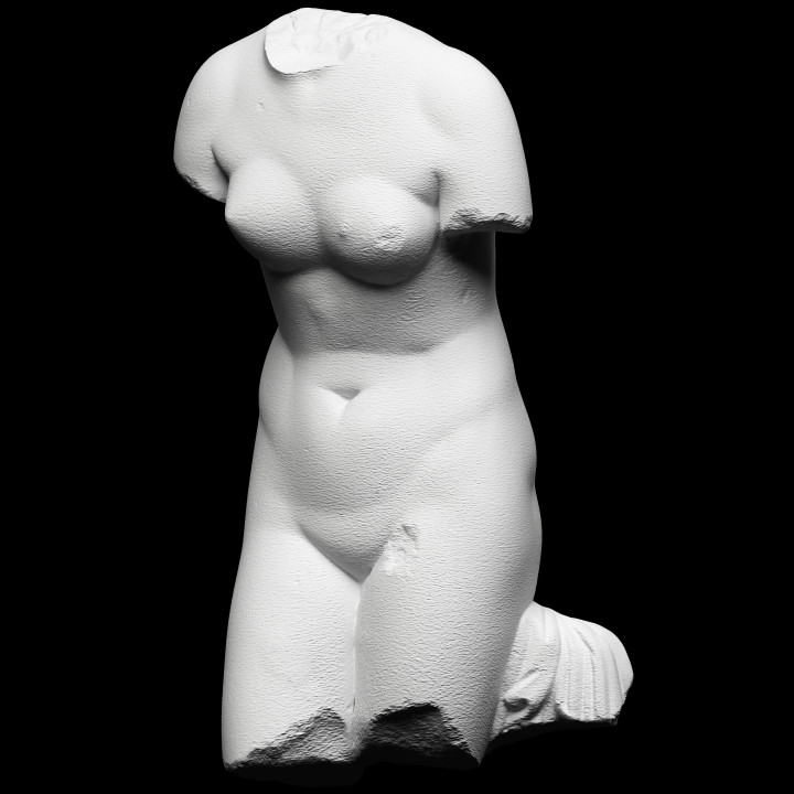 Aphrodite Pudica image