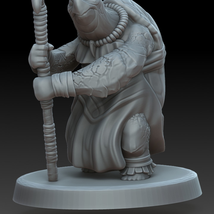 Sea Tortle Tribal Elder Woman