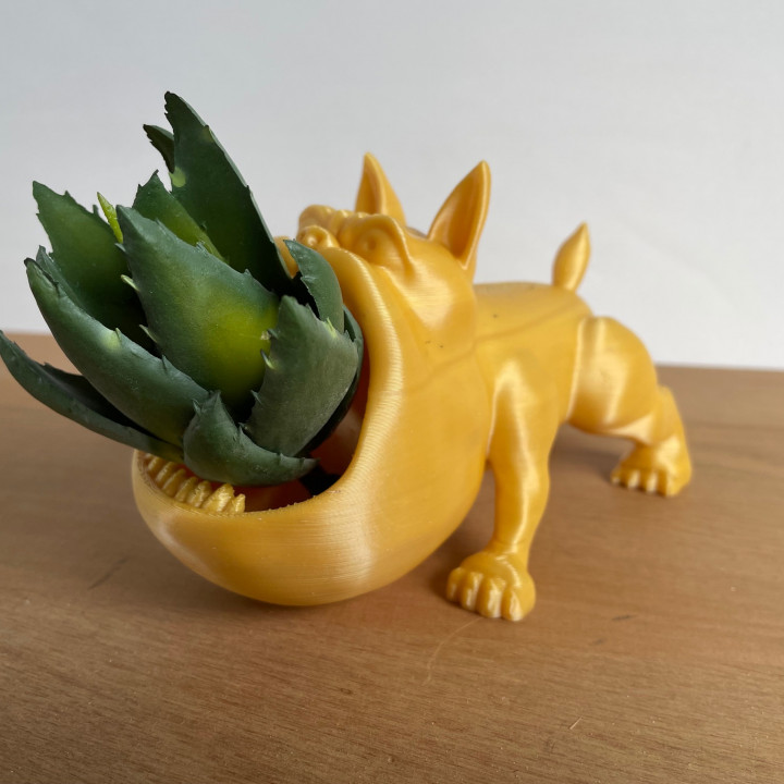 BULLDOG ORGANIZER / PLANTER / HOLDER