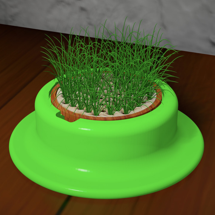 CAT GRASS MINI GARDEN image