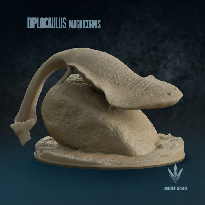 Diplocaulus magnicornis: The Boomerang-headed Amphibian image