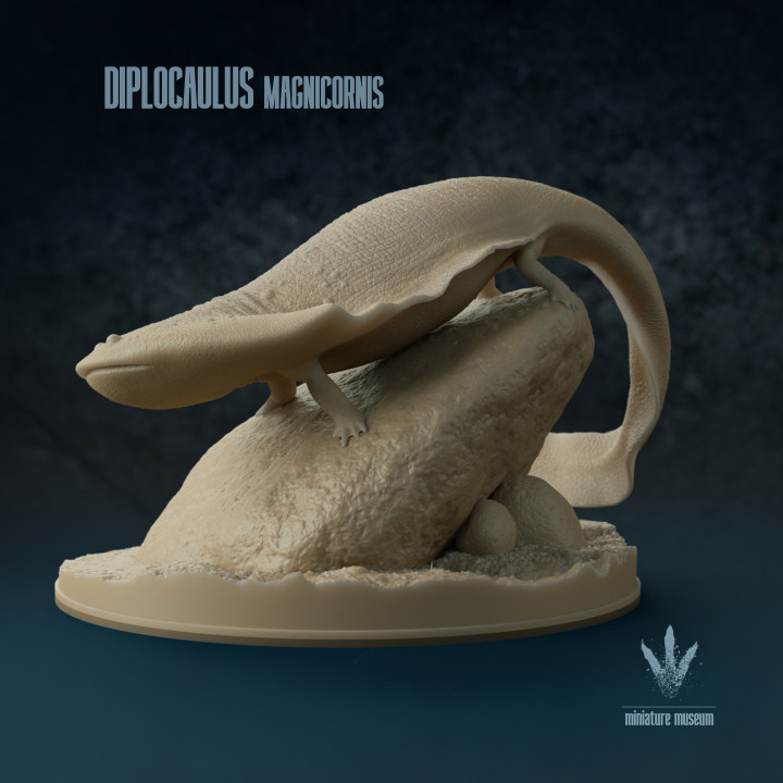 Diplocaulus magnicornis: The Boomerang-headed Amphibian image