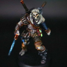 Picture of print of Eternal Witch Hunter