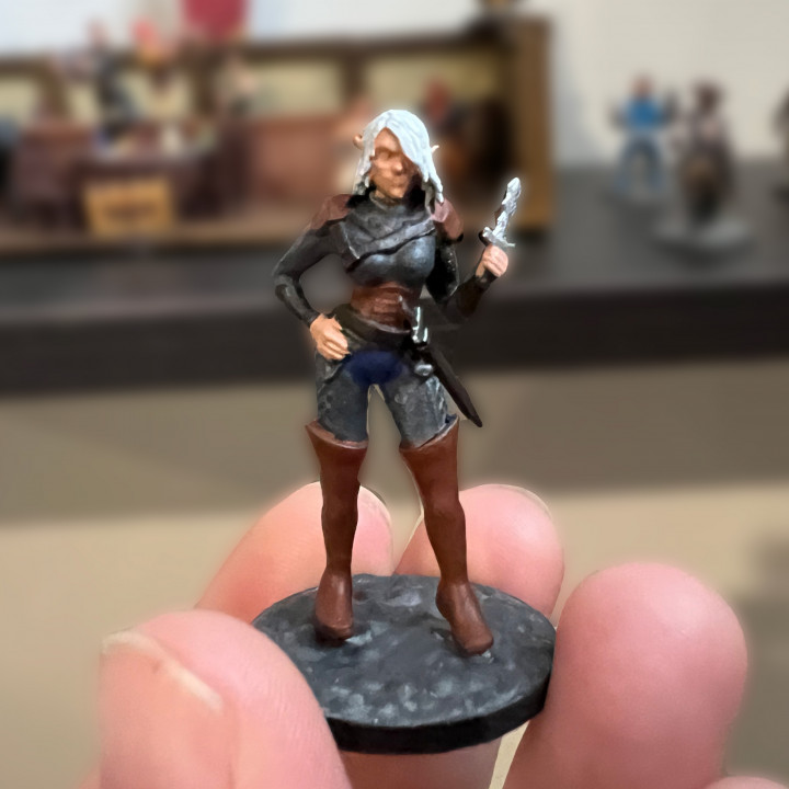 Elf Rogue Miniature