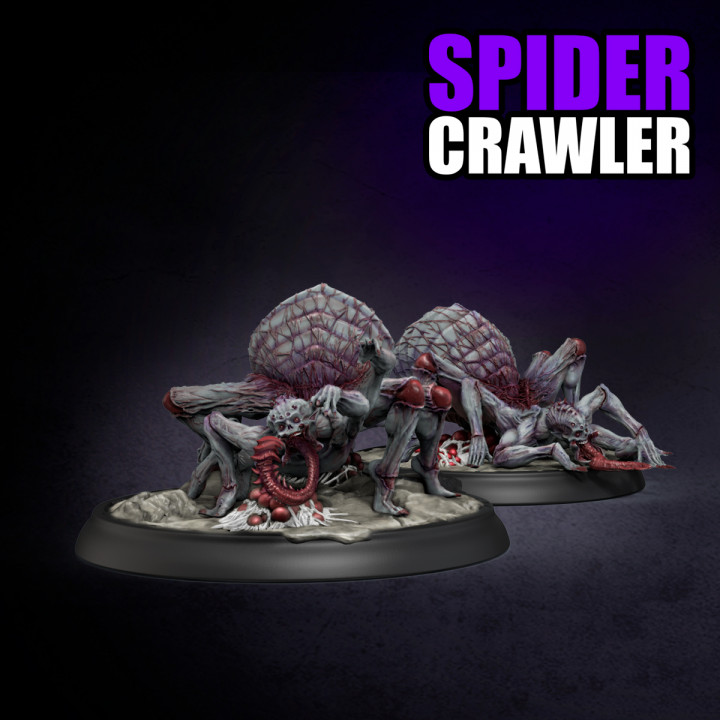 SPIDER QUEEN LAIR - SPIDER CRAWLER image