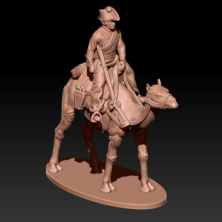 napoleonic dromedary regiment free sample