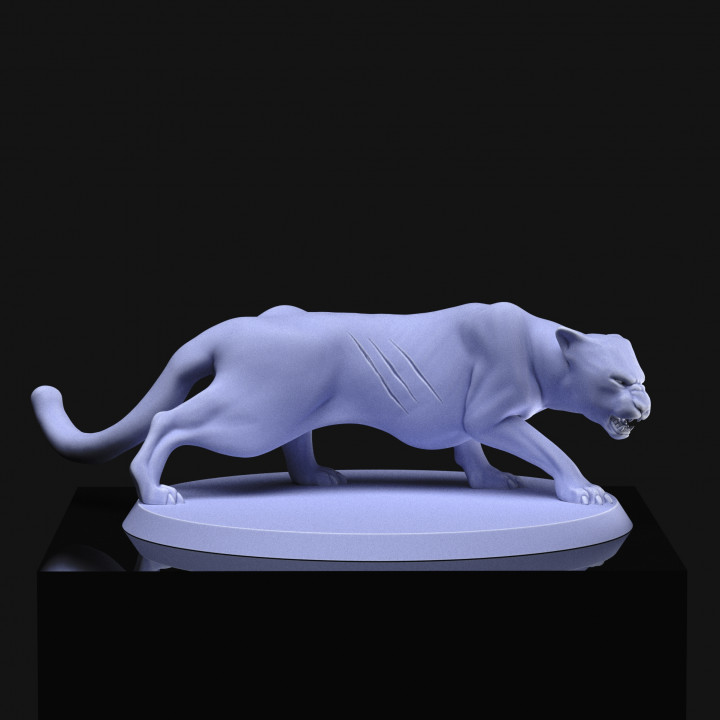 Hunter and panther
