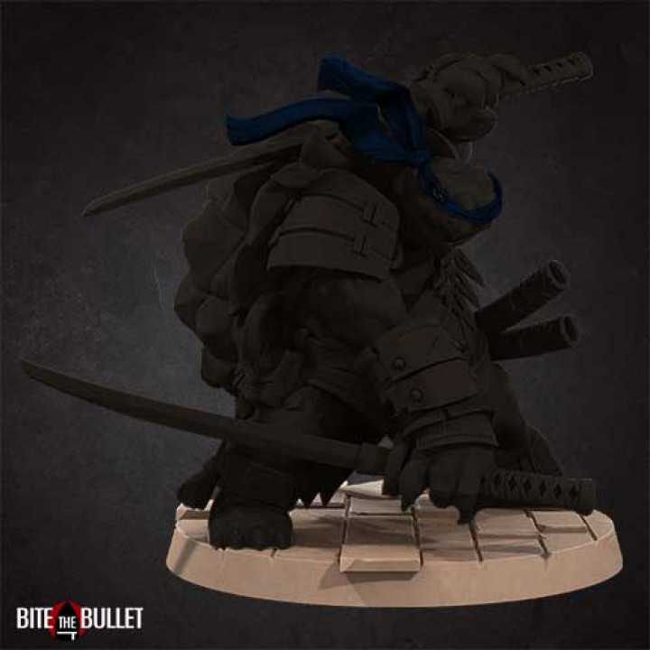 Ninja Tortles (4 Models) image