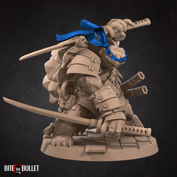 Ninja Tortles (4 Models) image