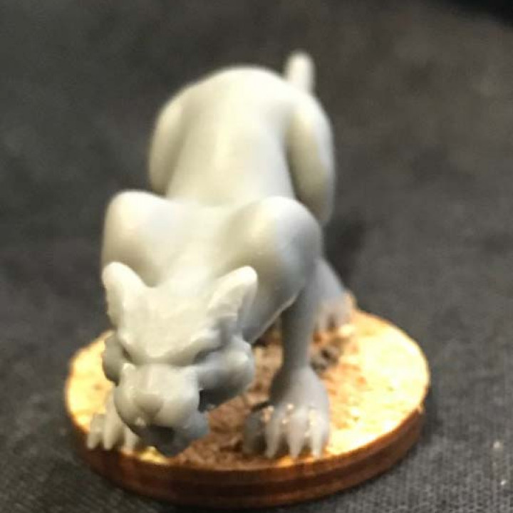 Sabertooth Cat image