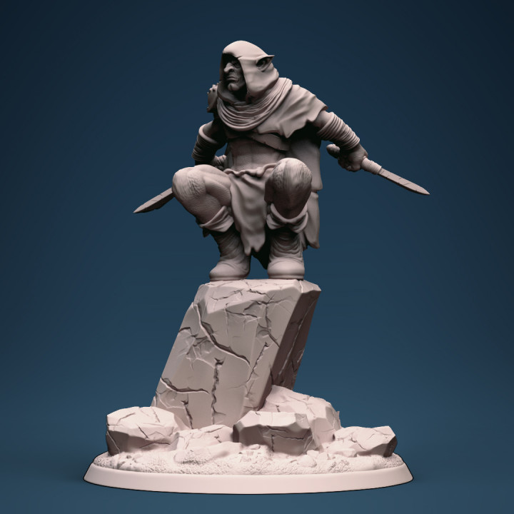 Goblin assassin 2