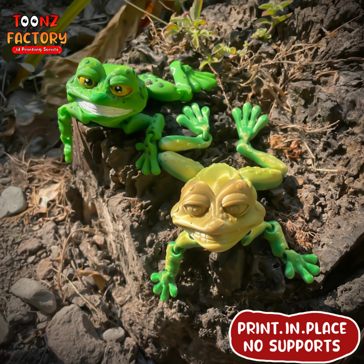 PRINT-IN-PLACE FLEXI TOAD ARTICULATED image
