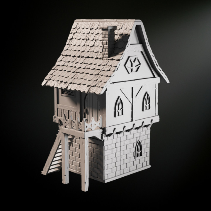 Medieval Fantasy Healer House