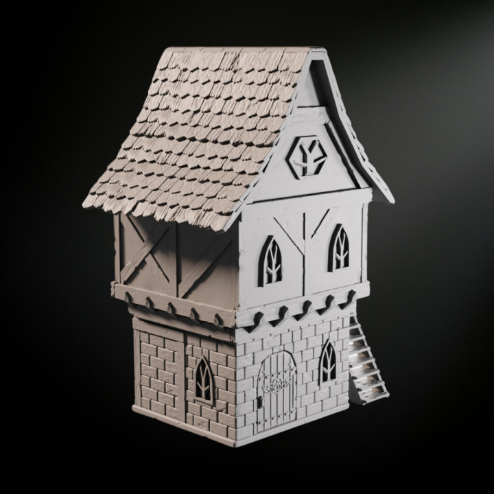 Medieval Fantasy Healer House image