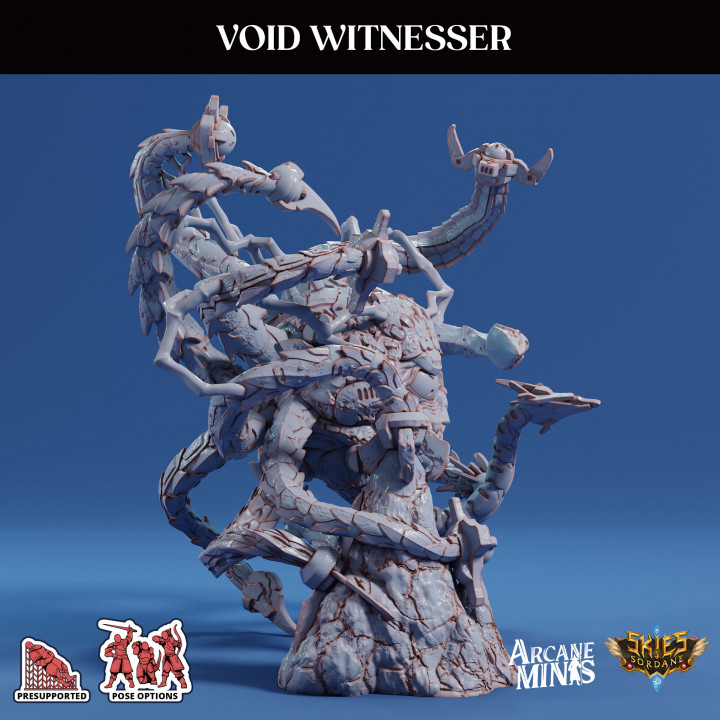 Void Witnesser