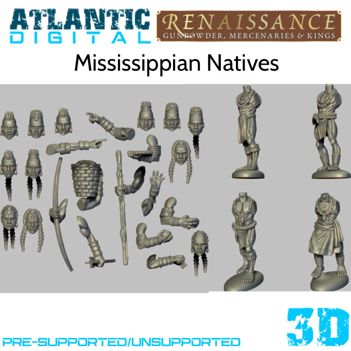 Mississippian Natives image