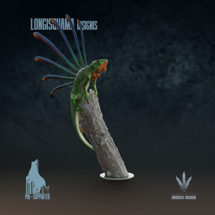 Longisquama insignis : Long-scaled Lizard image
