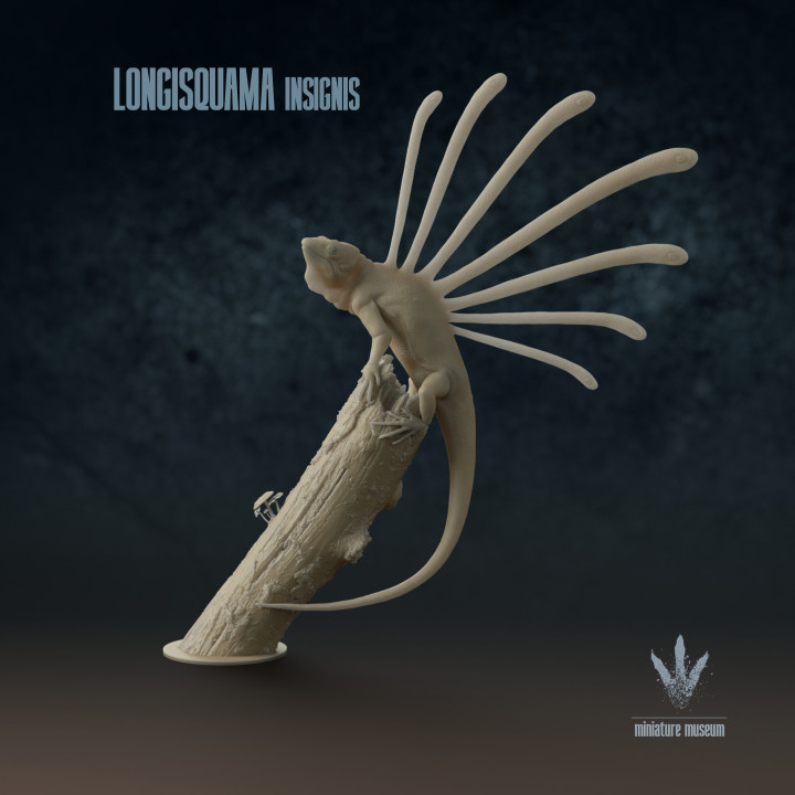 Longisquama insignis : Long-scaled Lizard image