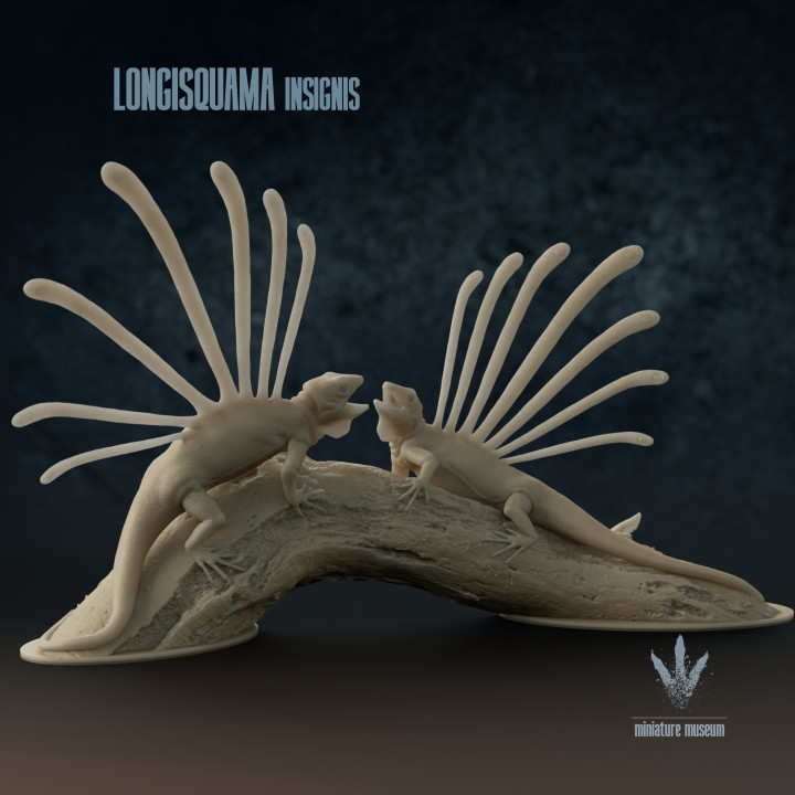Longisquama insignis : Territorial Display