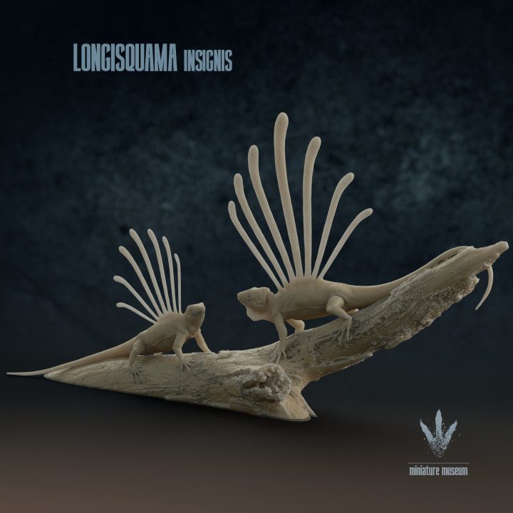 3d Printable Longisquama Insignis Male And Female By Miniature Museum