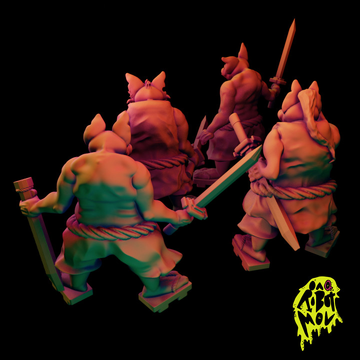Guerriers - Clans des Cochons image