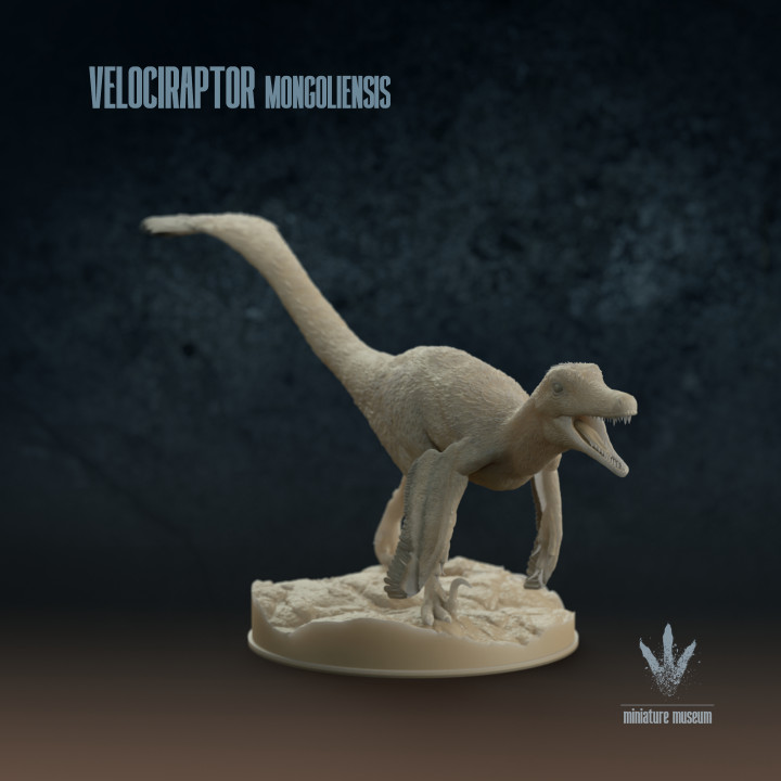 Velociraptor mongoliensis : Running image