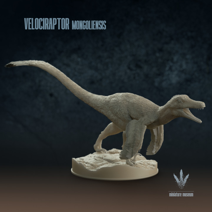 Velociraptor mongoliensis : Running image