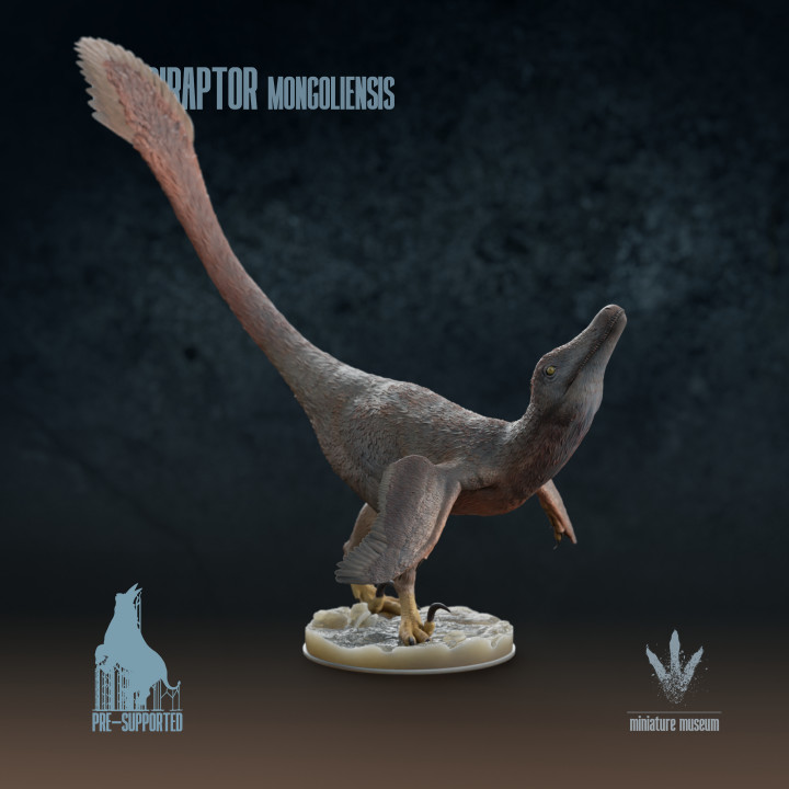 Velociraptor mongoliensis : Mating Display image