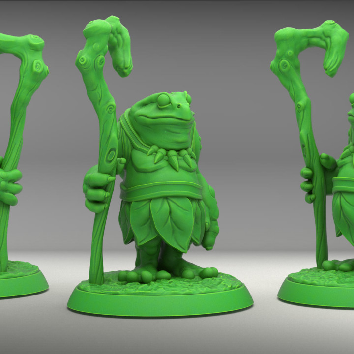 Frog Druid - Tabletop Miniature