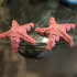 Articulated Starfish print image