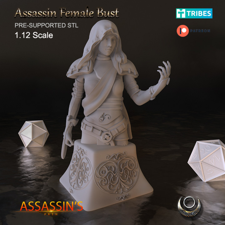 Assassin Female Bust's Cover