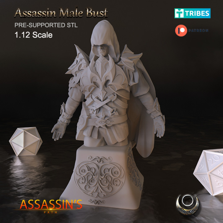 Assassin Male Bust's Cover