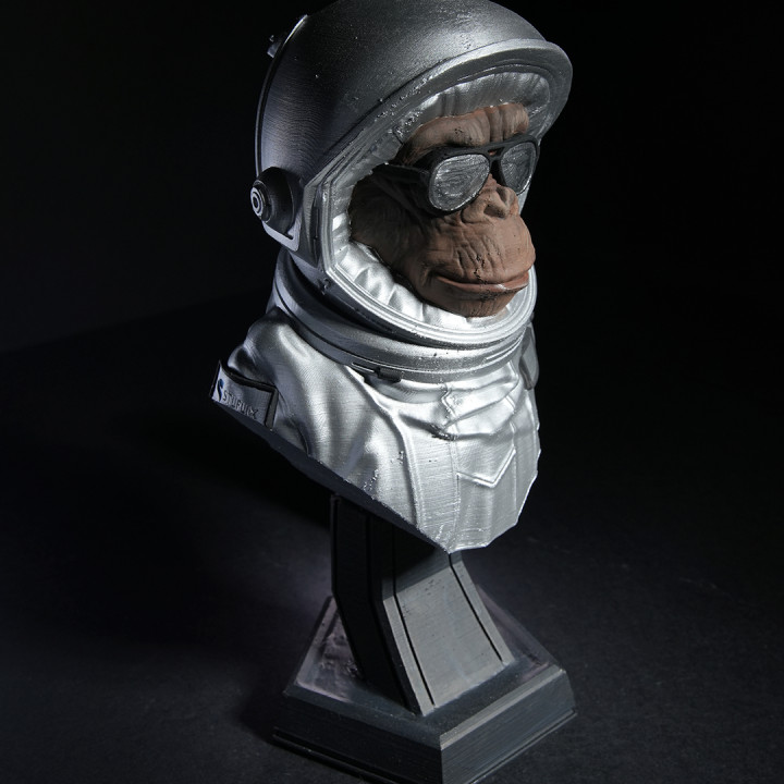 Intergalactic Monkey Crew image