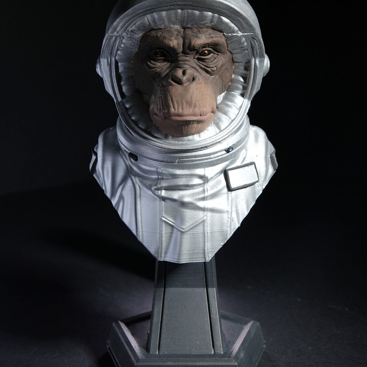 Intergalactic Monkey Crew image