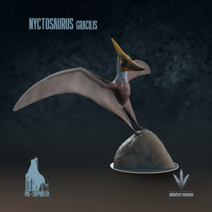 Nyctosaurus gracilis : Landing image