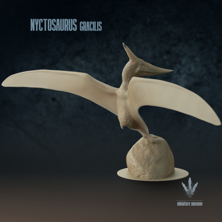 Nyctosaurus gracilis : Landing image