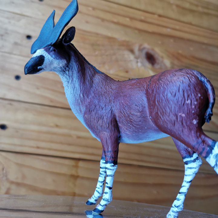 3D Print of Prolibytherium magnieri : Prehistoric Okapi by dinowilliam