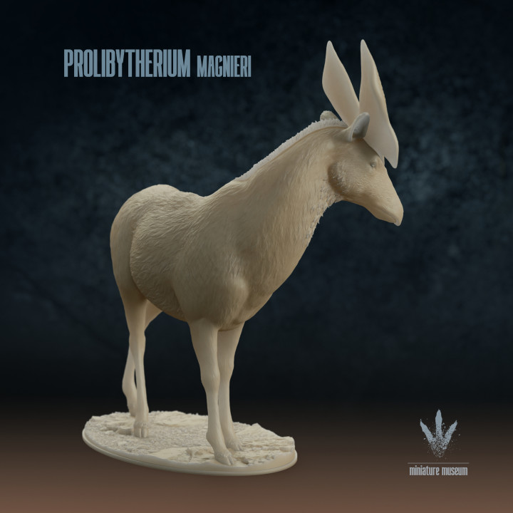 Prolibytherium magnieri : Prehistoric Okapi